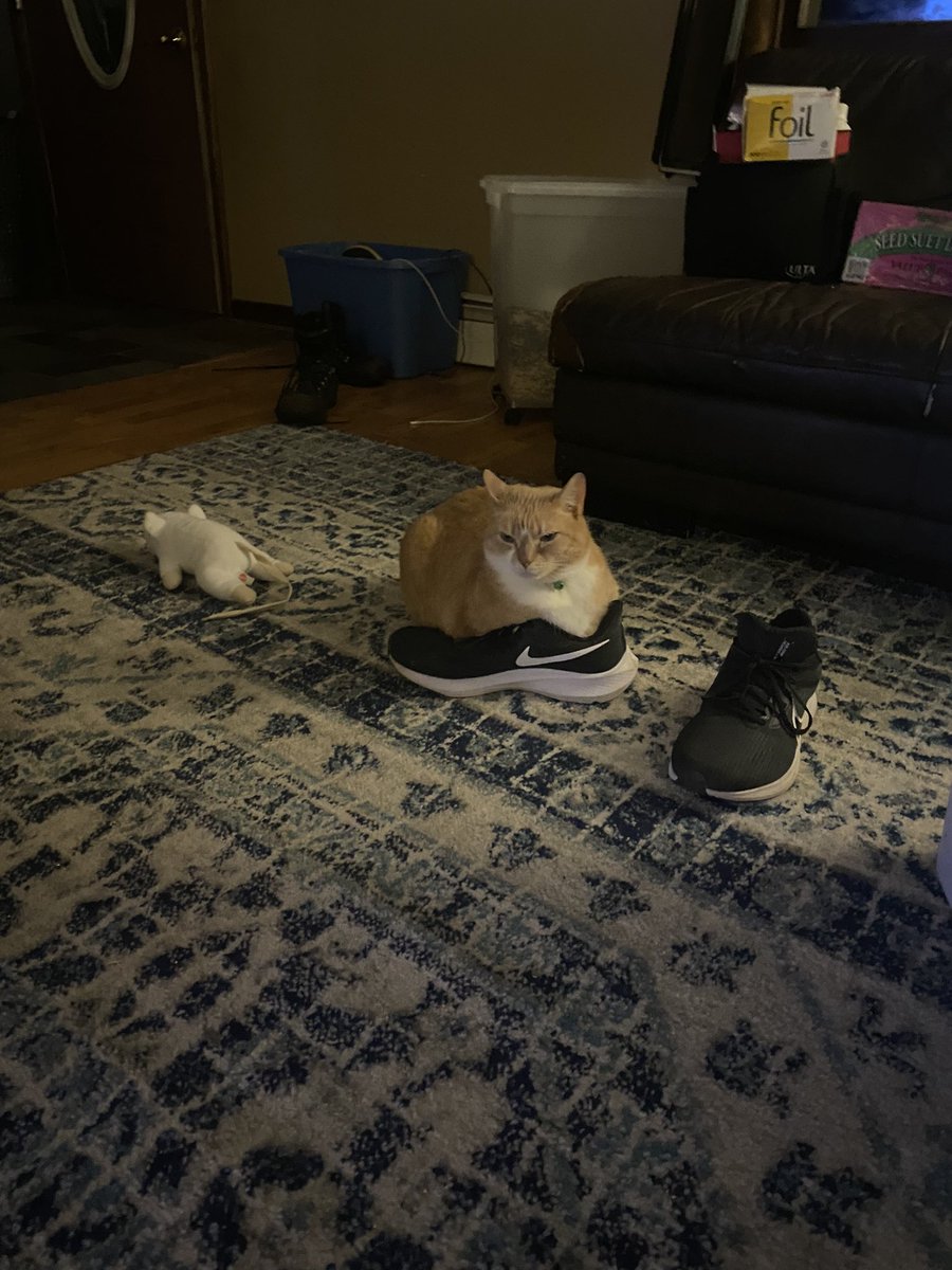 Shoe loafer