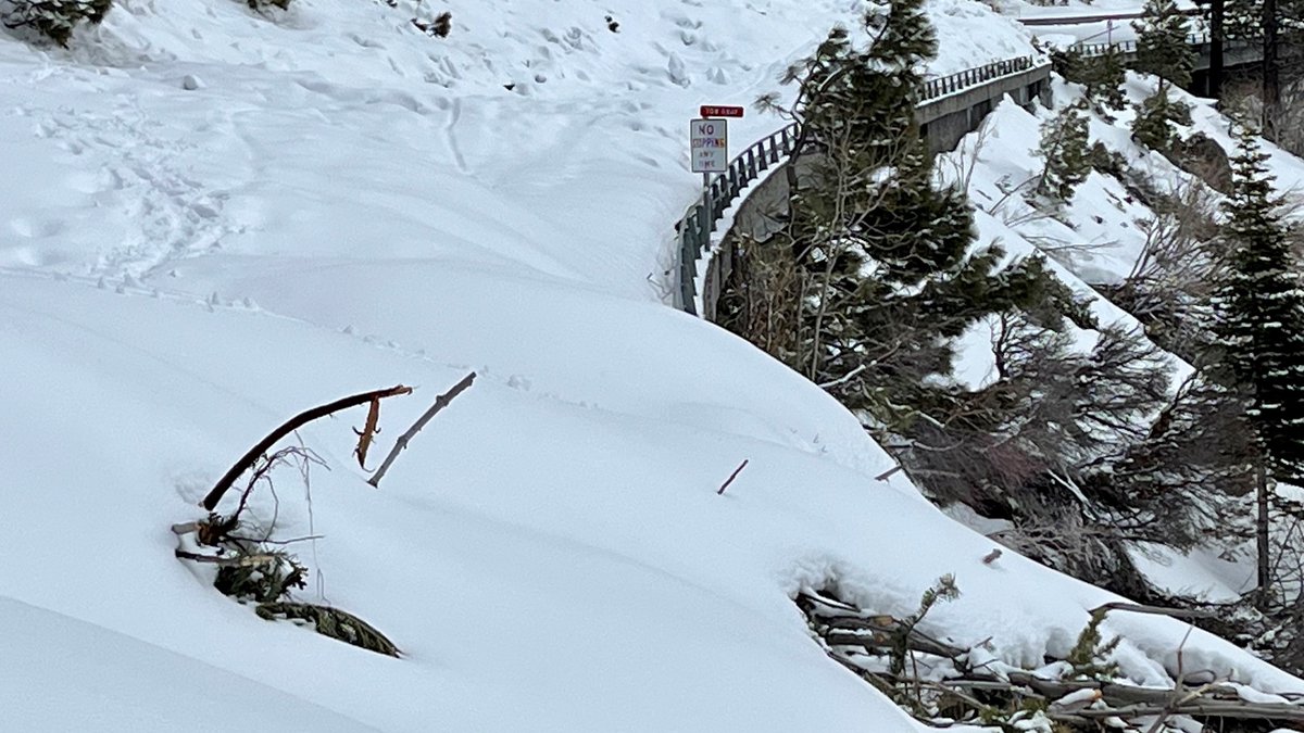 KirkwoodMtnCoop's tweet photo. FYI - Emerald Bay's open with #NoControls... No worries if you have a Tesla or Prius vehicle with chains... https://t.co/3wogDsgaK1