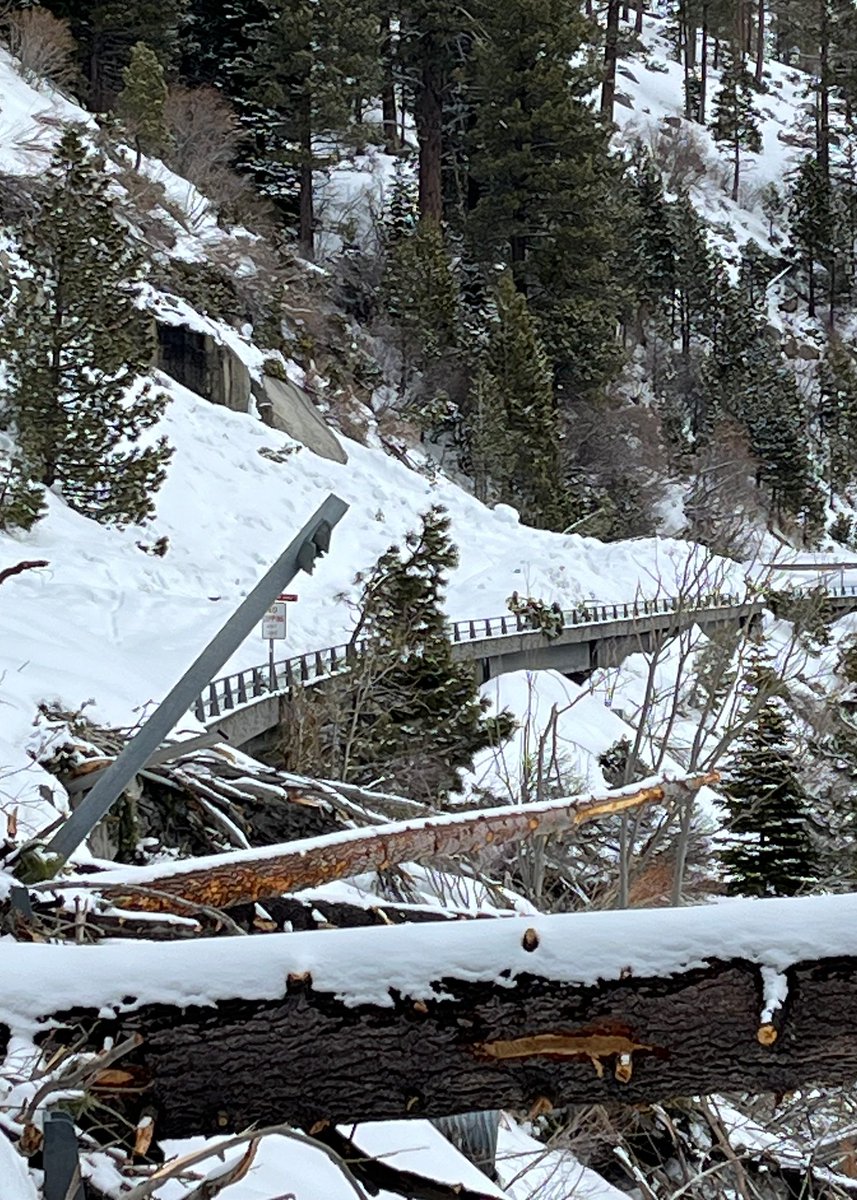 KirkwoodMtnCoop's tweet photo. FYI - Emerald Bay's open with #NoControls... No worries if you have a Tesla or Prius vehicle with chains... https://t.co/3wogDsgaK1