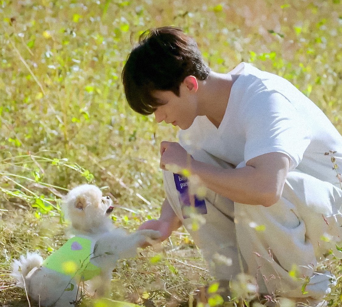 dkzones's tweet photo. happy 🐶 day https://t.co/AhsNZ2O6uh