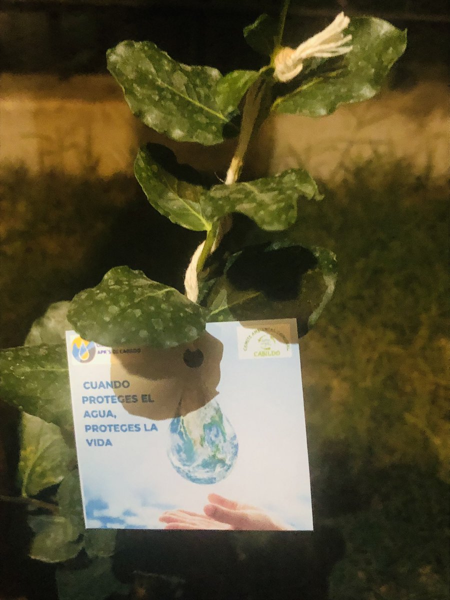 PanketaCc's tweet image. 🌱 En el día Mundial del Agua junto a Niñez , Mujeres , Aprs Chile Organizaciones Territoriales Comite Comunal Ambiental jjvv comunidad 
Se Realizó la Actividad dando un mensaje al país Sobre resguardar la gestión comunitaria del Agua  💧 @defensorianinez @AprCabildo @AprQuinta