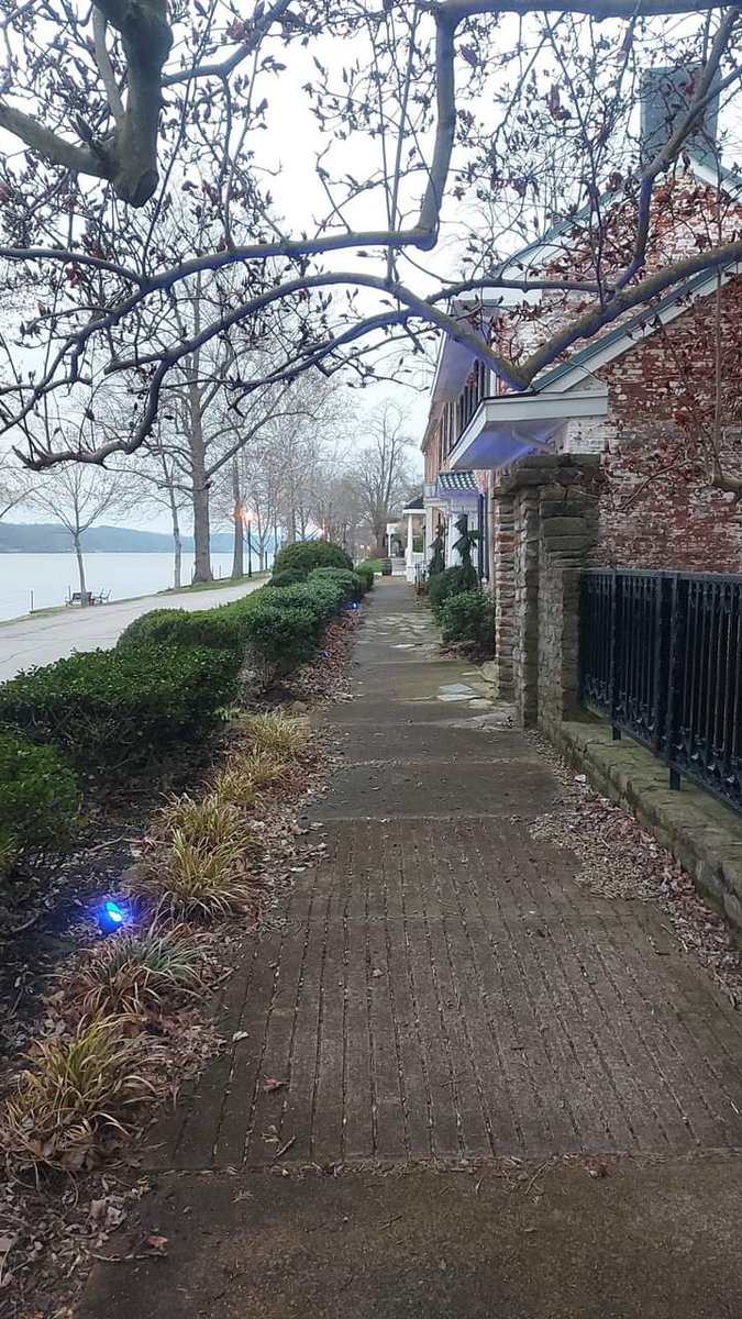 kyblueblood's tweet photo. Evening walk is good on the Soul.
#ohioriverway 
#brackencountyky 
#augustaky 
#roadtrip 
#TravelKY 
#cincinnati https://t.co/T5L0zEckRY