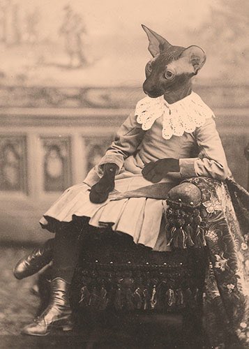 carsyn paige☆ tweet media