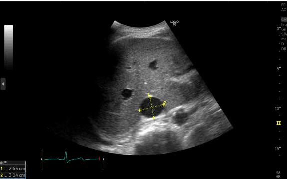 Ahmed T Abdellah on Twitter: 