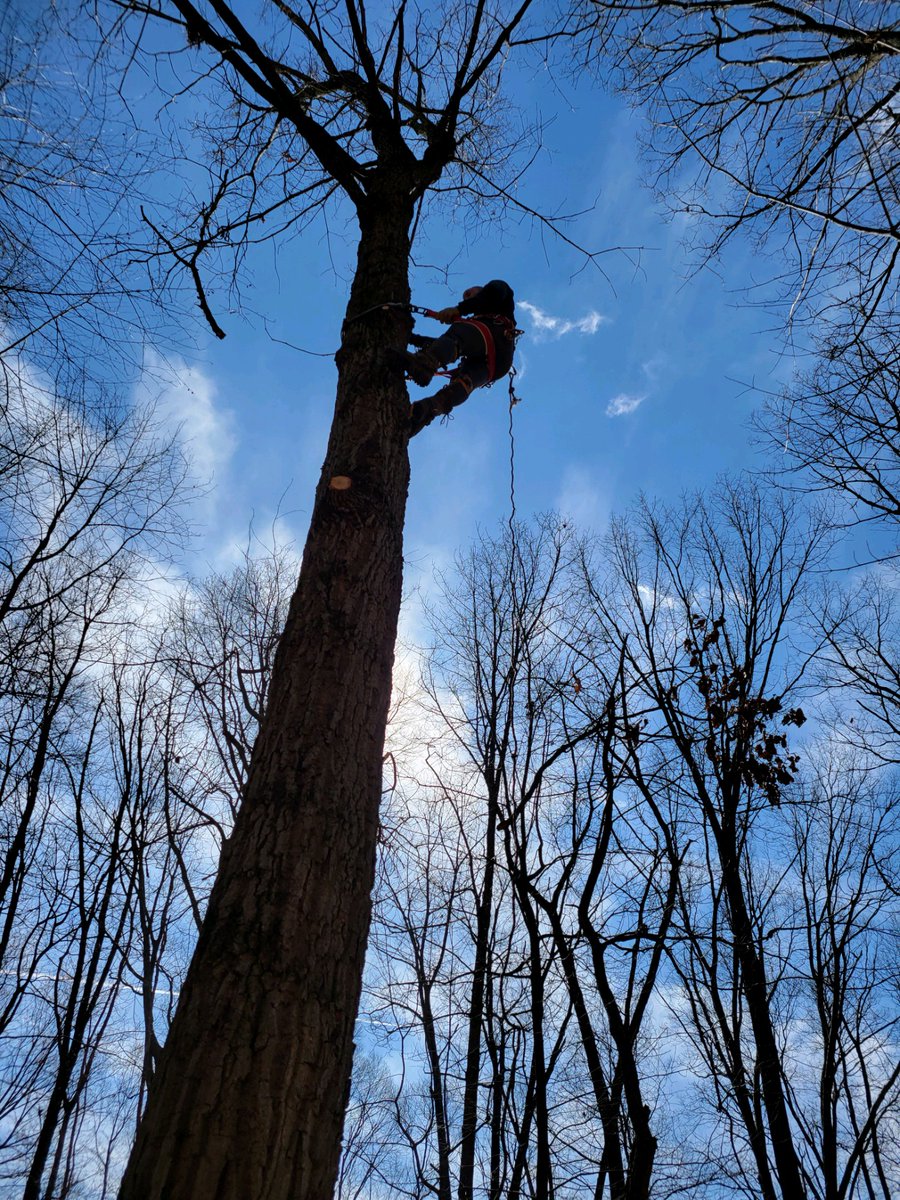 SPIDERDROP1's tweet photo. Clearing the Sky for my @SpaceXStarlink https://t.co/C1PA0AkLOH