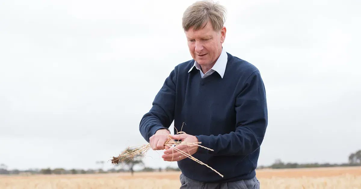 WeedSmart tweet media