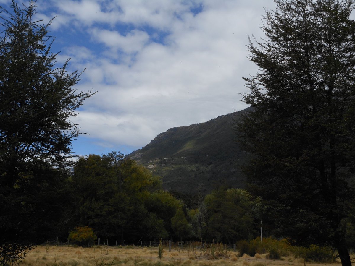 save15ormore's tweet photo. i love argentina https://t.co/V8ZpB6ZVv8