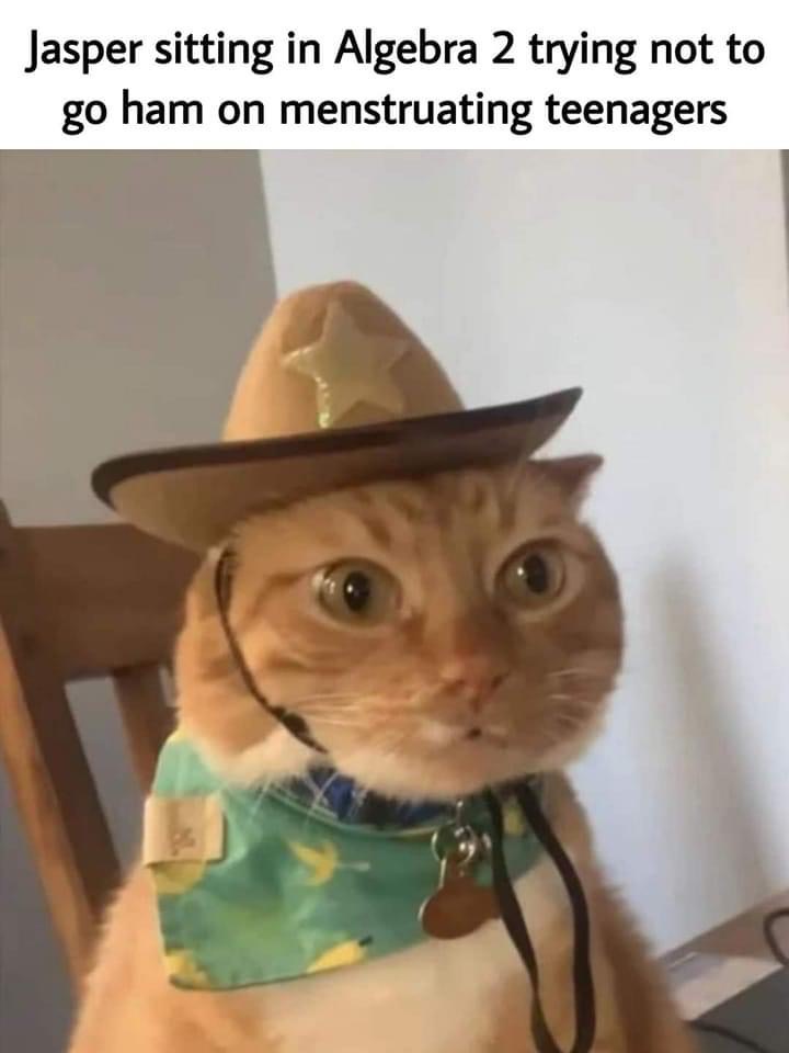 BigMommaJayee's tweet photo. Alex sent me this meme, to which I told her Frank has that hat. So naturally, she asked me to make this meme, and here we go! https://t.co/5gL7VtzlKV