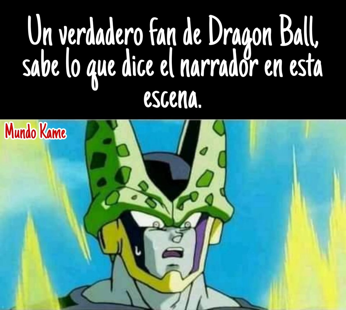 MundoKame's tweet image. 