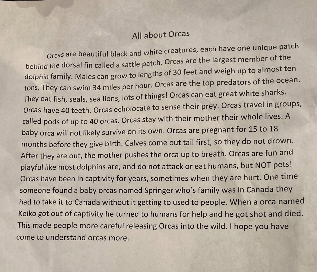 One of my kids wrote me a report about orcas for no other reason that just to share it with me 😭😭 reason #401837472892 why I love kids min