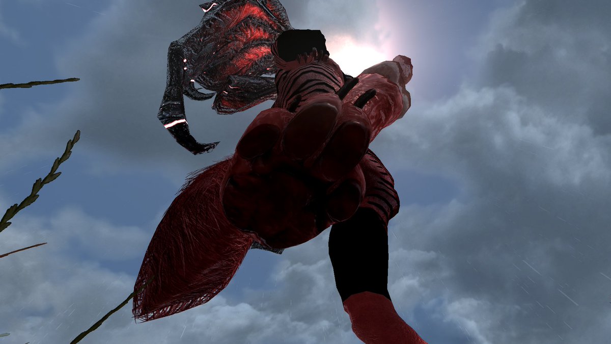 FluffyDaemon tweet picture