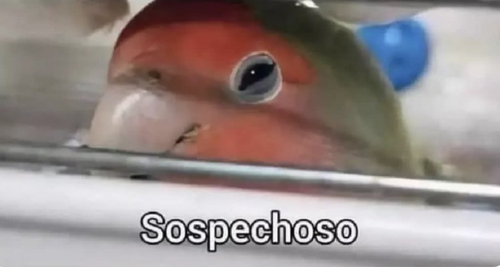 ddreflexion's tweet photo. Cuando ya pasaron 3 días y todo marcha bien en mi vida: https://t.co/hneag7wRb3