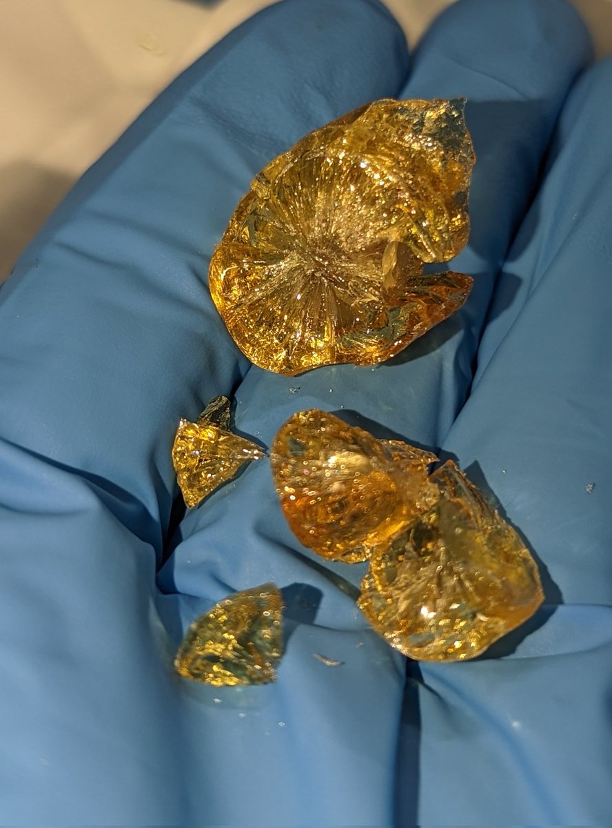 TempleGrower's tweet image. Save your butane for the weak. ~89-90% THC (no not THCa), 96% total cannabinoids. When frozen, it crumbles into this crystalline #distillate. Similar to shatter but better. Also will pull &amp;amp; snap, it&apos;s ultra pure &amp;amp; packs a HELL of a punch.🤩⚗️🛢️
#ShortPathDistillation #Crystalline