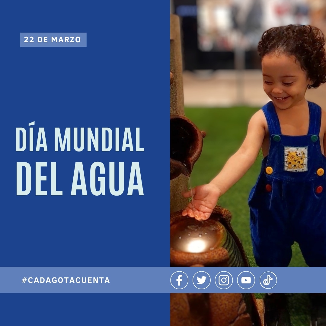 tejadahermanos's tweet photo. Cada gota cuenta! #DiaMundialDelAgua https://t.co/kiUnmLhANn