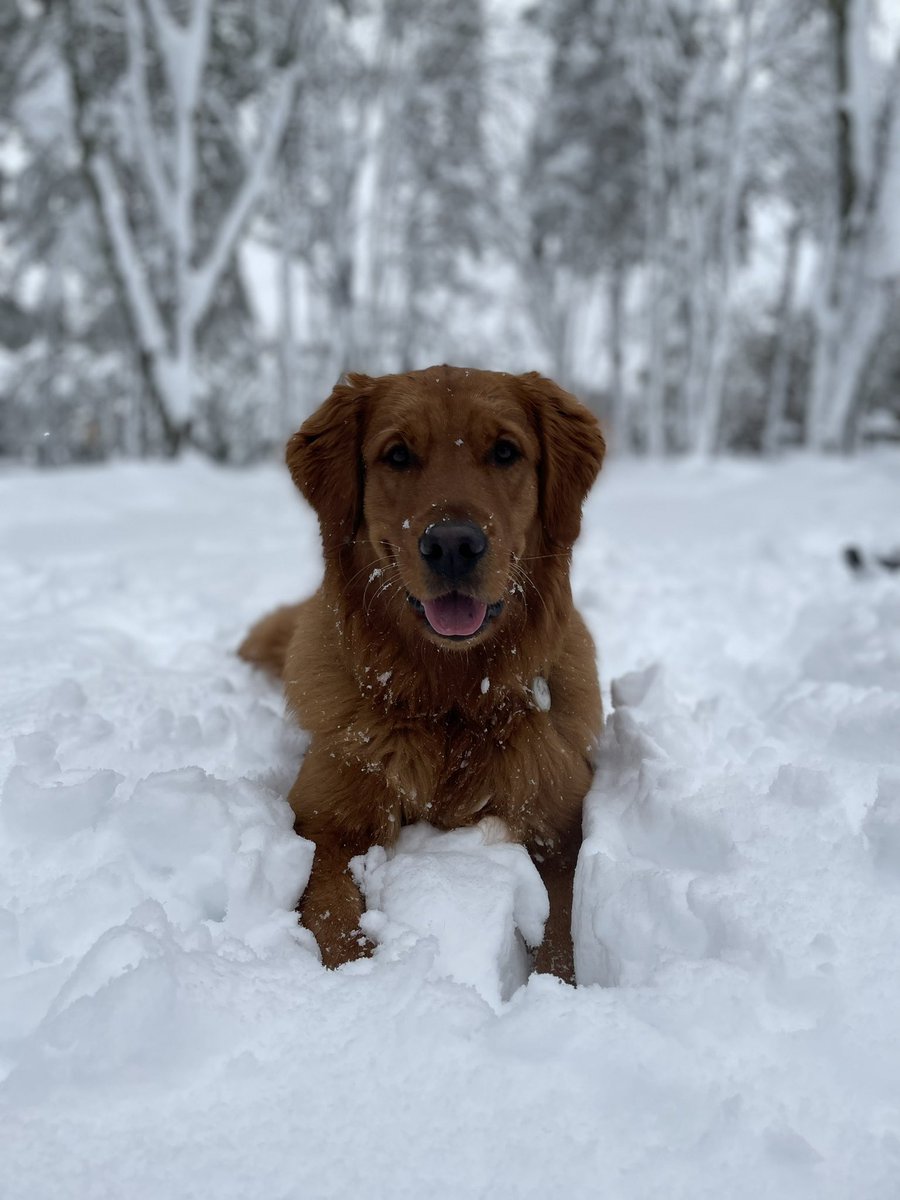 ErinJDocherty's tweet photo. @breakfasttv My boy Carson ❤️ https://t.co/jgs32ZpgY2