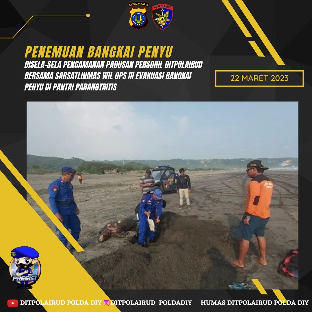 polairdiy's tweet photo. Disela-sela patroli menggunakan UTV pengamanan padusan menjelang bulan Ramadhan, Personil Ditpolairud Polda DIY menemukan bangkai penyu di Pantai Parangtritis dan segera menghubungi BKSDA. https://t.co/XTw9krqphj