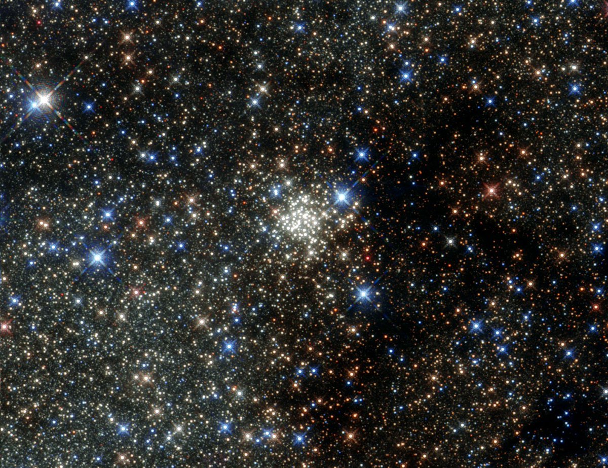 Andrew Rader tweet media