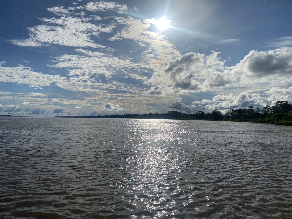 vtorrs's tweet photo. Celebrar el día mundial del agua con una poderosa imagen del majestuoso río Amazonas. Que su inmensidad nos inspire a seguir protegiendo la magia  de estos caminos llenos de historias 🌊💜 #WaterDay2023 #WaterAction #UNWaterConference https://t.co/jytg9Vl6nh