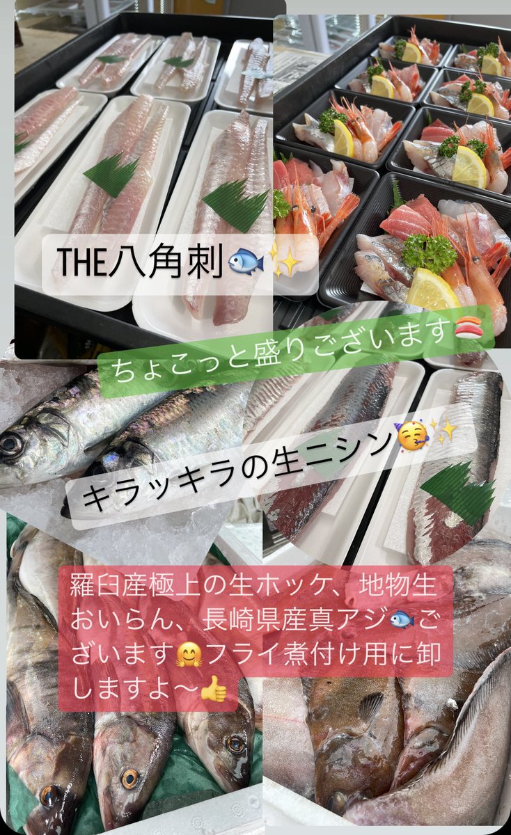 On5uHB9pGAWeqCj's tweet photo. おはようございます😃本日もキンキ大漁祭🥳赤の祝杯を🇯🇵🏅活き活きヤリイカ🦑活貝類🦪🐚✨お刺身には真鯵、きんき、ニシンが仲間入り他色々🍣煮付けフライお汁に生魚各自有り🐟✨そしてお待たせ自家製干物🉐4種に酒のアテ色々で本日もよろしくお願い致します😊🌈　#登別　#魚屋　#まるひろ伊藤水産 https://t.co/We0N8FFO4T
