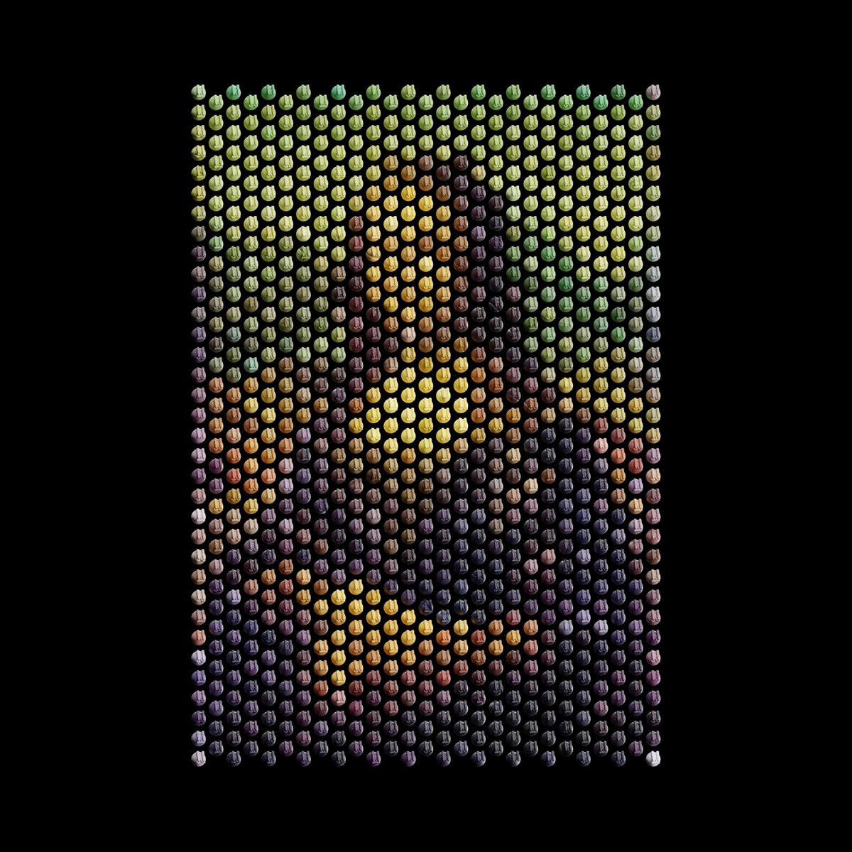 MarkTheHabibi حبيبي tweet media