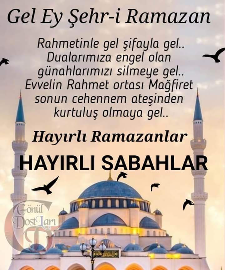 ZerrinAloglu's tweet photo. https://t.co/kkL2vOkylr