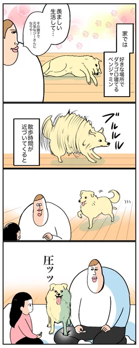 🐕いぬの表情の切り替わり

https://t.co/lNPKI0cQl2 