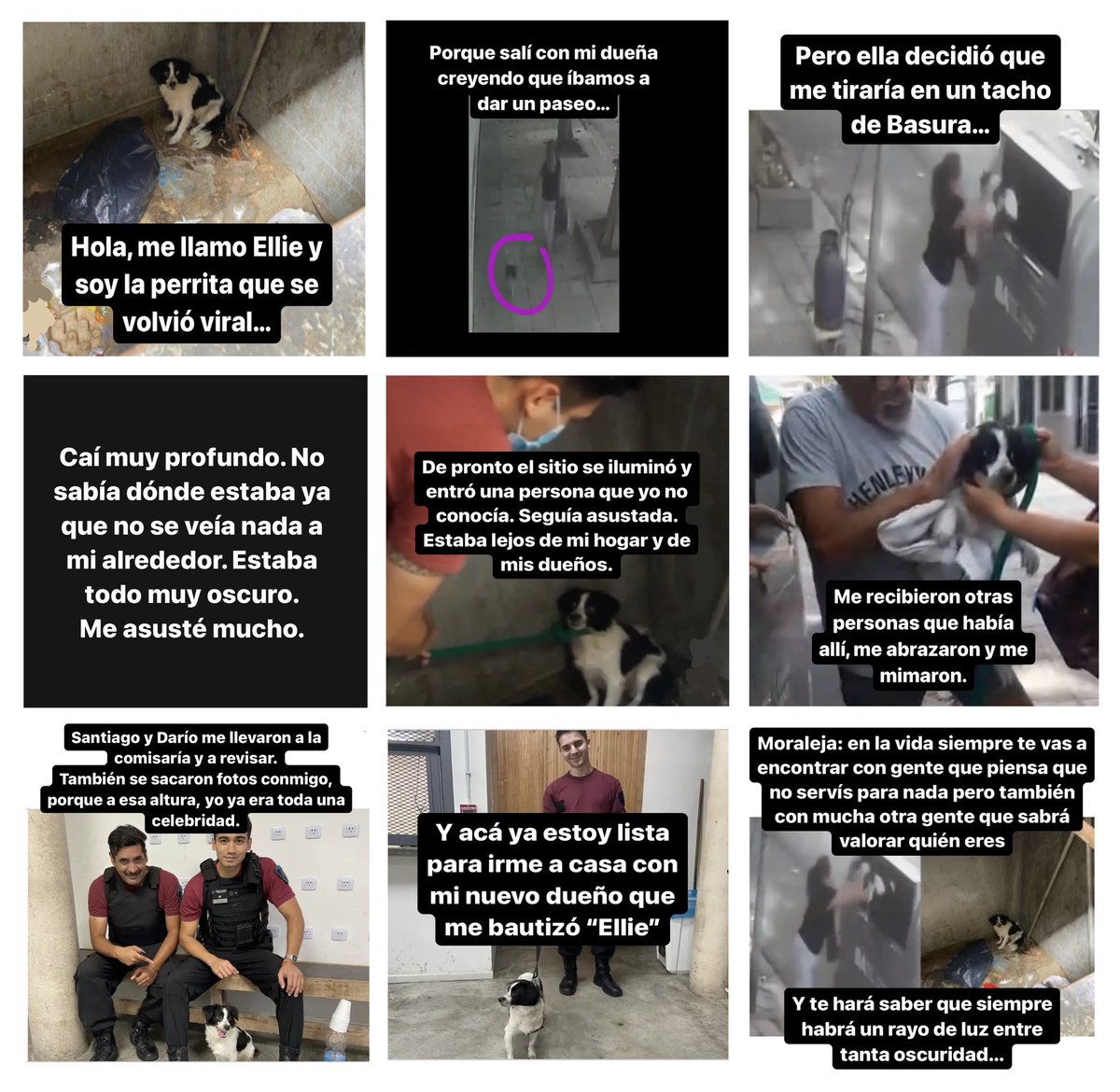 Nikgaturro's tweet photo. Pequeño homenaje para la valiente Ellie y para todas aquellas personas que con sus acciones del día a día nos ayudan a recobrar la Fe en la especie humana.

Y nunca se olviden:

Muchas veces, uno confía ciegamente en personas que te hacen mucho daño.
Pero, lo que esas personas ni siquiera sospechan, es que finalmente terminarán haciéndote un gran favor.