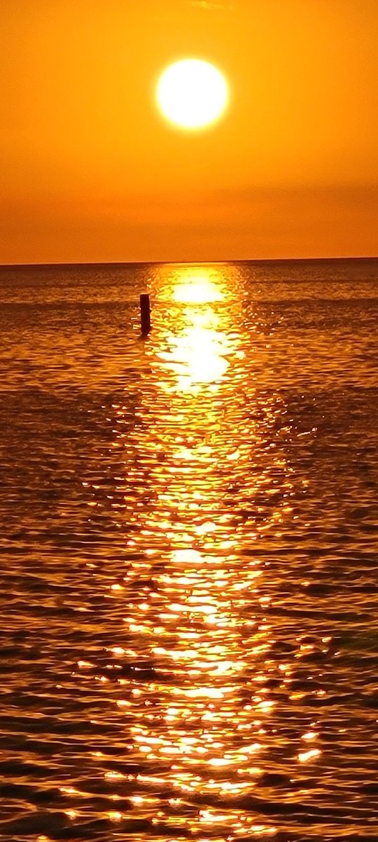 drager_ann's tweet photo. Nothing like a beautiful Florida Sunset 🌴 ☀️ 🧡 https://t.co/hYUcACnxEC