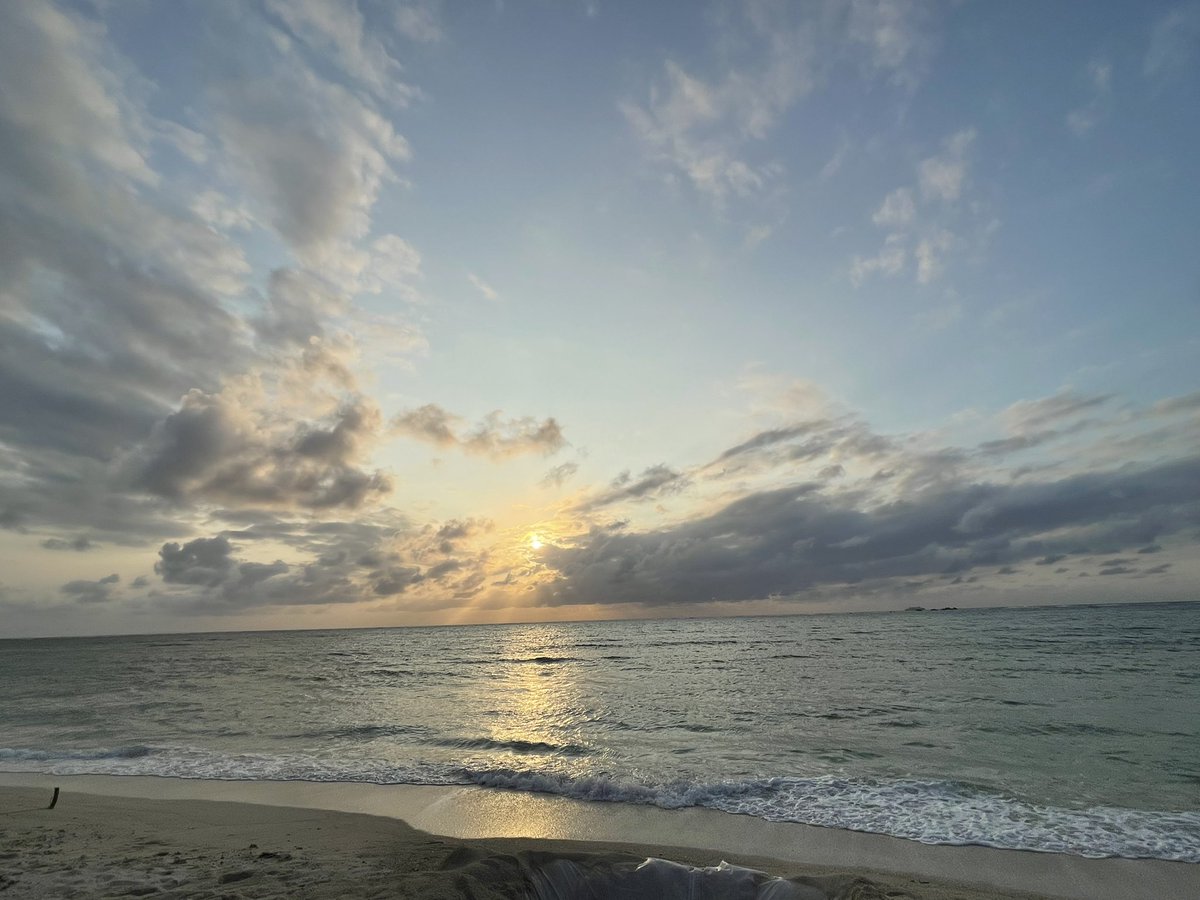 こんにちは！先週末お休みをいただきつつ沖縄に行ってきた担当です🌴帰ってきてすぐ資格試験を受けたりと怒涛の3月を過ごしておりますが今年度もあと少し🤏頑張りましょう💪
ちなみに試験は受かりました✨
#企業公式つぶやき部 #企業公式相互フォロー祭り