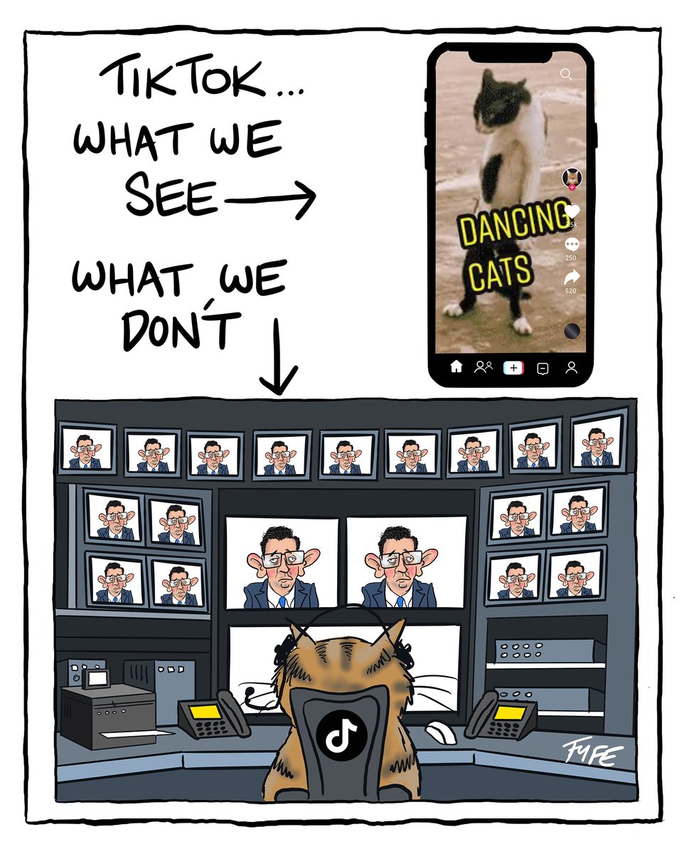 Parliament considers removing TikTok from all government devices...#Tiktok #catvideos #SpiesRUs #AusPol