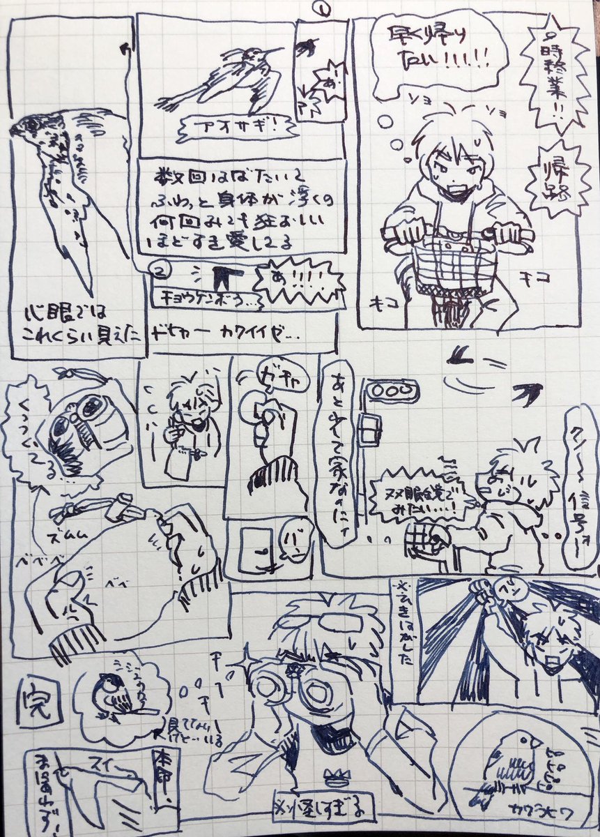 鳥オタク日記 気配で上見ると良いことある https://t.co/s7RCnV12pD 