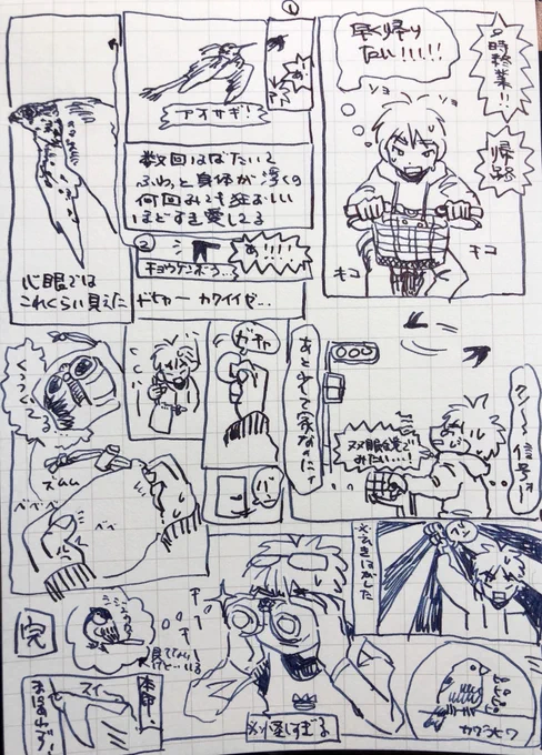 鳥オタク日記 気配で上見ると良いことある https://t.co/s7RCnV12pD 