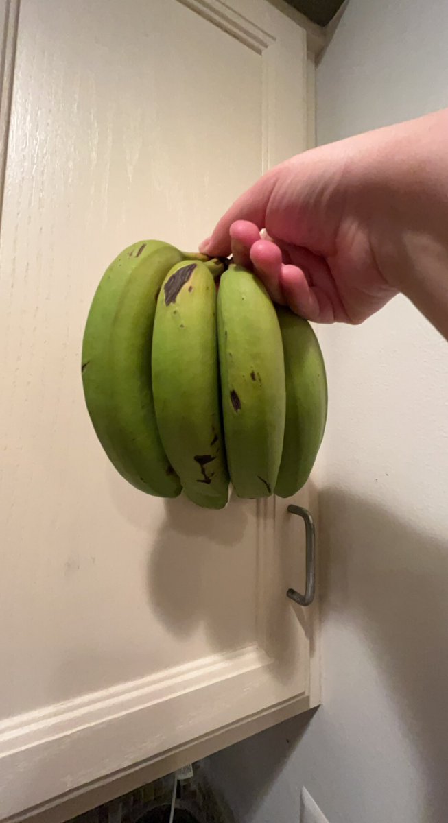 Mrs. Stone (she/her) tweet media