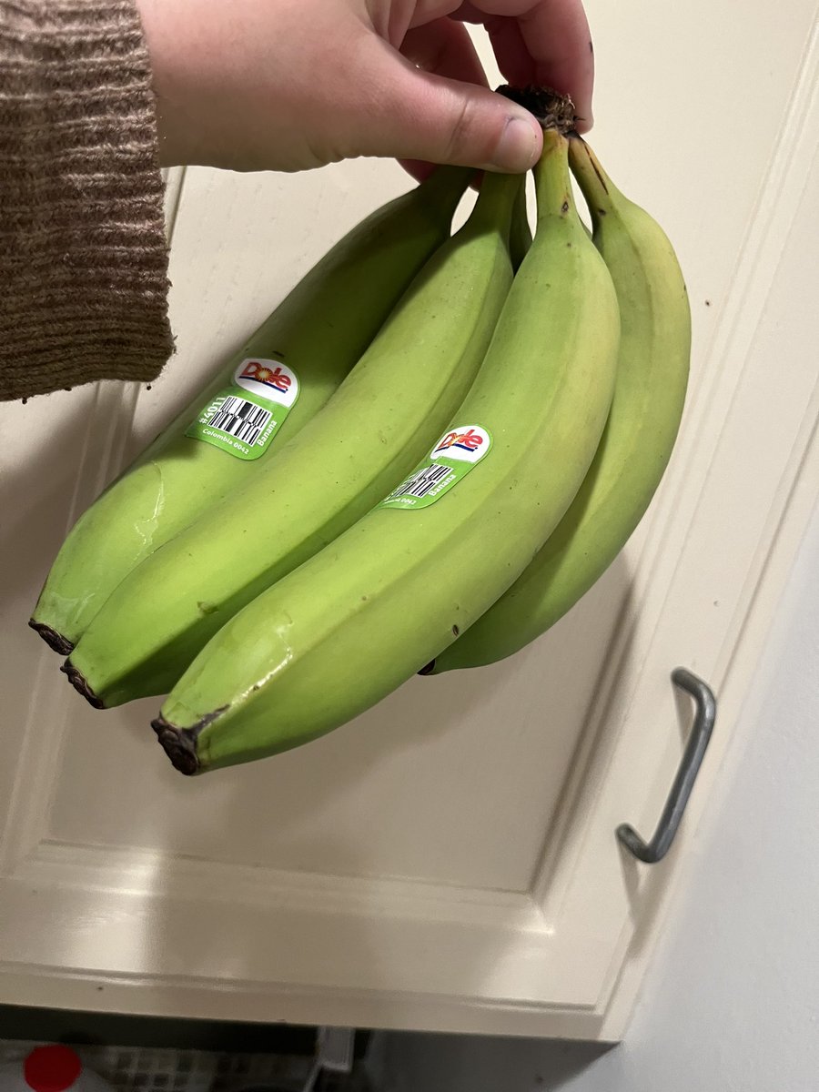 Mrs. Stone (she/her) tweet media