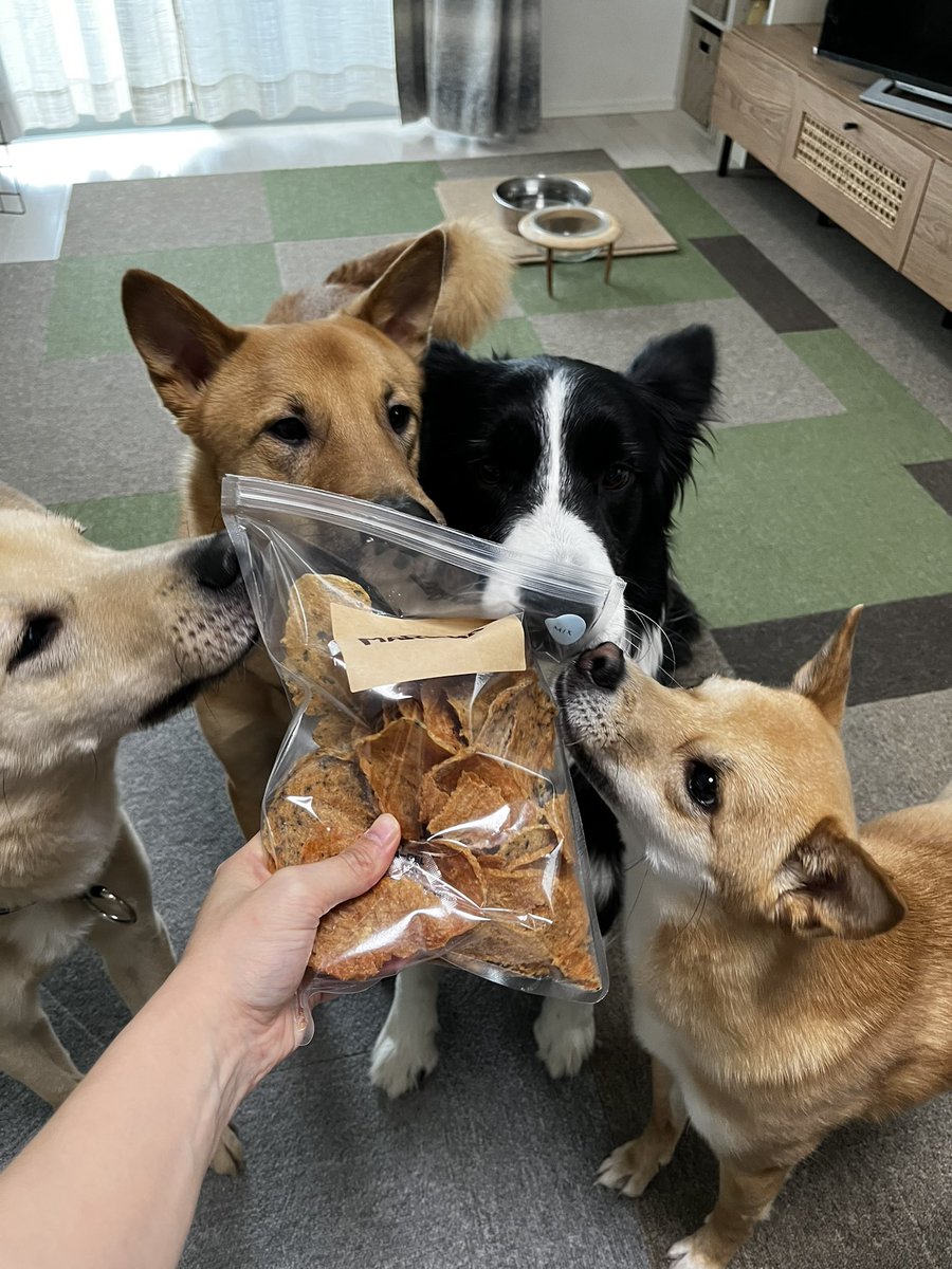 みんな大好きなおやつがきたよー！