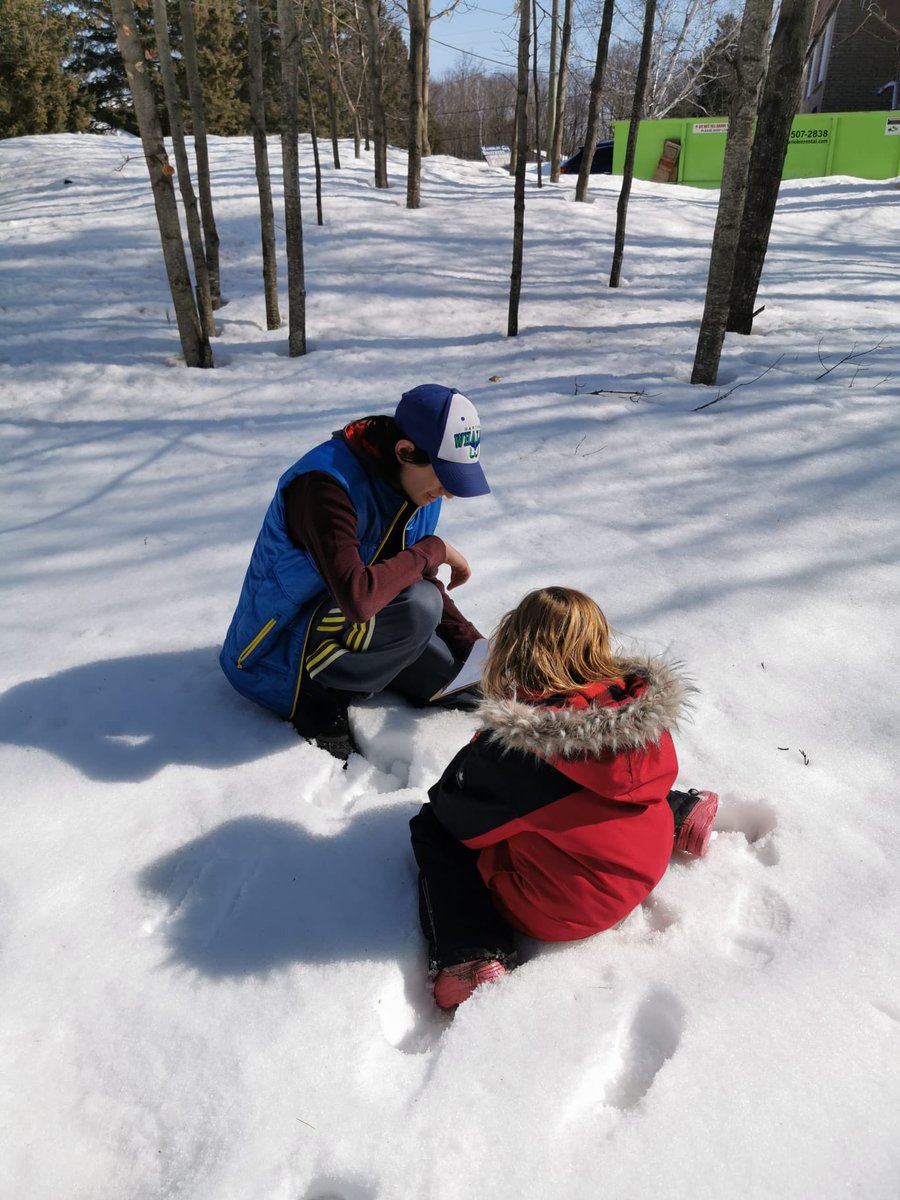 MissRSmith's tweet image. Our Grade 8 inquiry buddies taught us about right angles and acute angles when finding items in nature. @MrMulvihill89 @alcdsb_omer @alcdsb