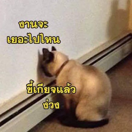 bbigkachu's tweet photo. กูในทุกๆเช้า 5555555555555555 https://t.co/CM3DL3q7tJ
