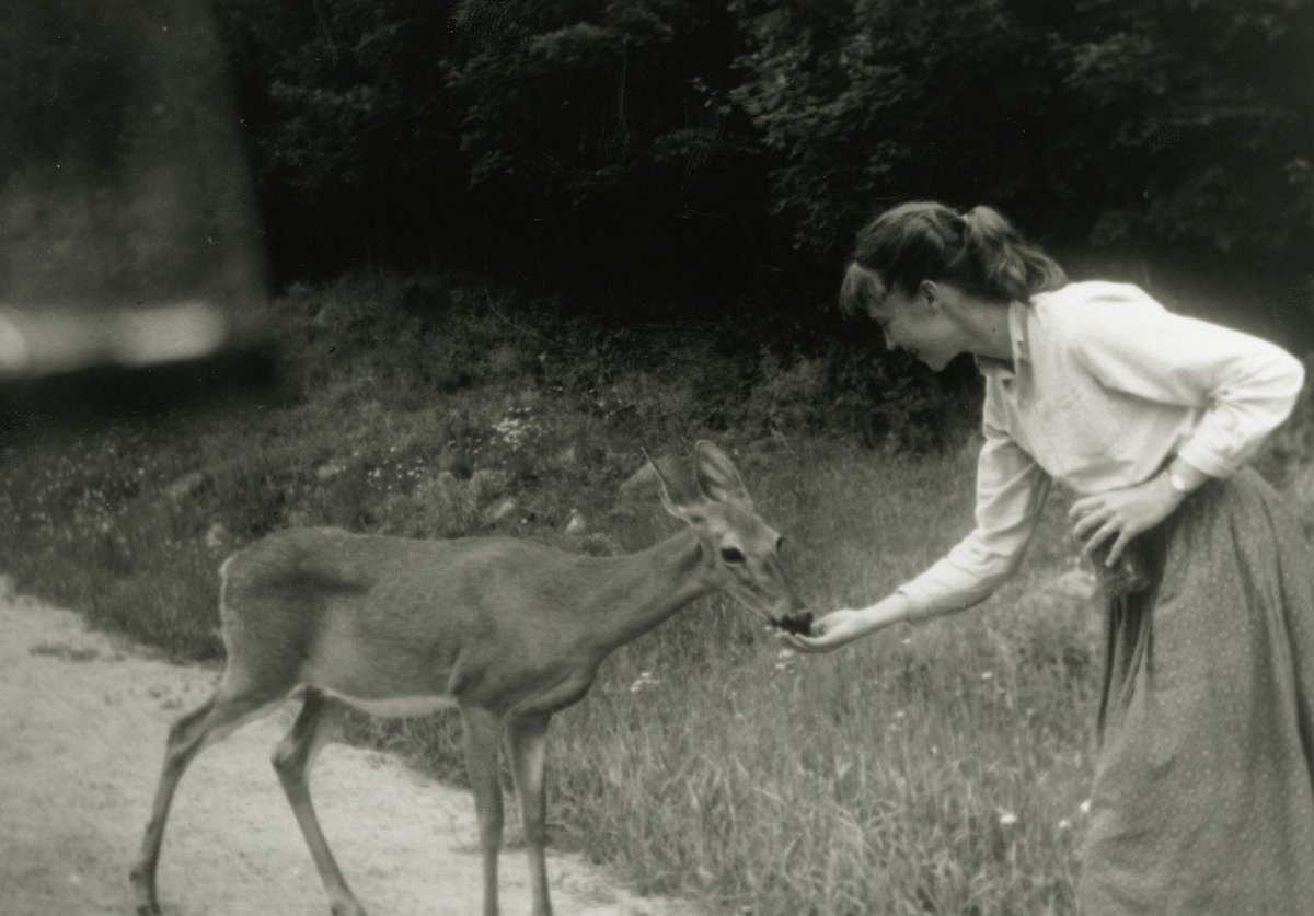 sweetheartcel's tweet photo. Sylvia Plath feeding blueberries to a deer, 1959 https://t.co/hpcOMVlYOg
