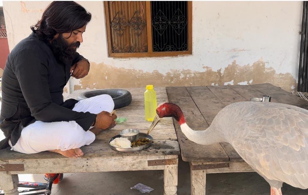 ममता राजगढ़ (@rajgarh_mamta1) on Twitter photo <a href="/yadavakhilesh/">Akhilesh Yadav</a> बेचारे सारस ने कभी नहीं सोचा होगा कि राजनीतिक द्वेष में फसकर उसको नई जिंदगी देने वाले आरिफ भैया से अलग होना पड़ेगा। जिसका परिवार ही ना हो वह क्या किसी की बेजुबान की भावना को समझेगा। <a href="/yadavakhilesh/">Akhilesh Yadav</a> बेचारे सारस ने कभी नहीं सोचा होगा कि राजनीतिक द्वेष में फसकर उसको नई जिंदगी देने वाले आरिफ भैया से अलग होना पड़ेगा। जिसका परिवार ही ना हो वह क्या किसी की बेजुबान की भावना को समझेगा।