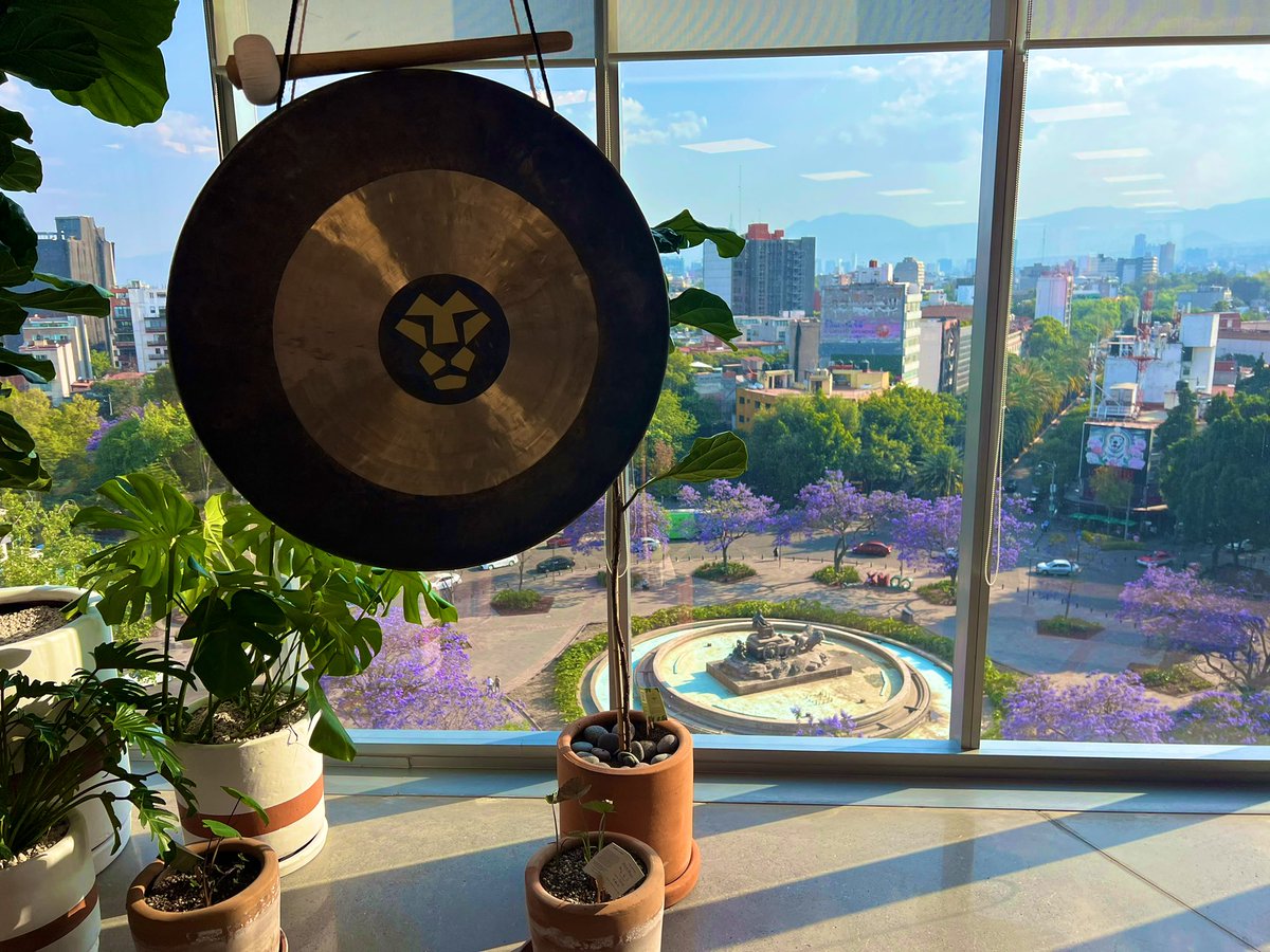 thazhmon's tweet photo. @jeeves_inc CDMX ready for spring 👏🌷🦁 https://t.co/1mTITnwOtX