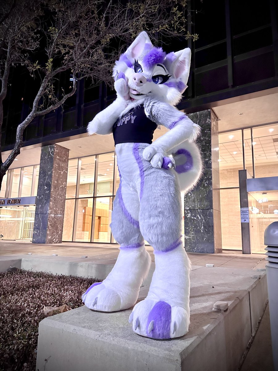 auroraabloom's tweet photo. You gotta catch my good side~✨ https://t.co/O0TWweH4in