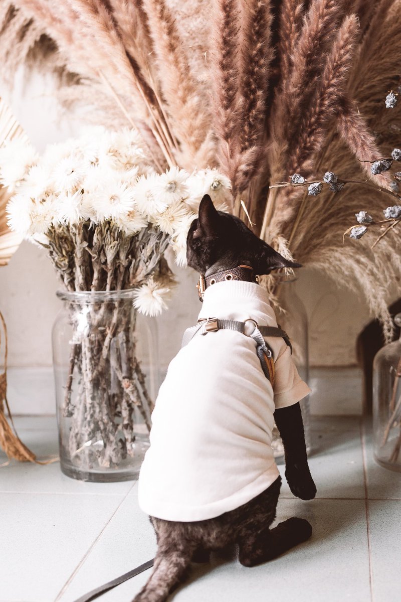 My handsome boi 🤍