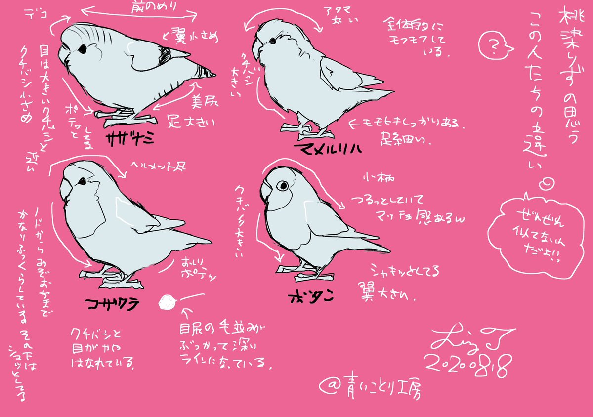 【最近フォローしてくださった方へ】

インコ大好きLizのインコグッズと日常つぶやき多めのアカウントです。

インコ研究と称して、洋書や海外サイトの翻訳をしたり、遺伝や外的特徴の分析をしたり、気ままにやっております。

結果、鳥さんと飼い主さんがしあわせになる… https://t.co/YTiklkhGgp 