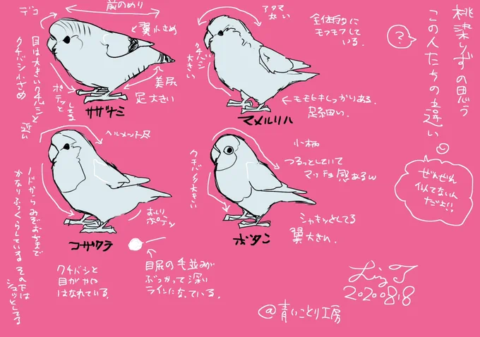 【最近フォローしてくださった方へ】

インコ大好きLizのインコグッズと日常つぶやき多めのアカウントです。

インコ研究と称して、洋書や海外サイトの翻訳をしたり、遺伝や外的特徴の分析をしたり、気ままにやっております。

結果、鳥さんと飼い主さんがしあわせになる… https://t.co/YTiklkhGgp 