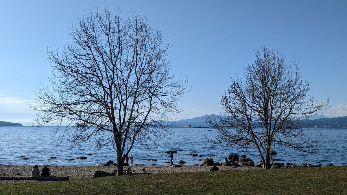 calichebahada's tweet photo. Wonderful day at the office. #Vancouver #bcsun https://t.co/cQGp0S7vRU