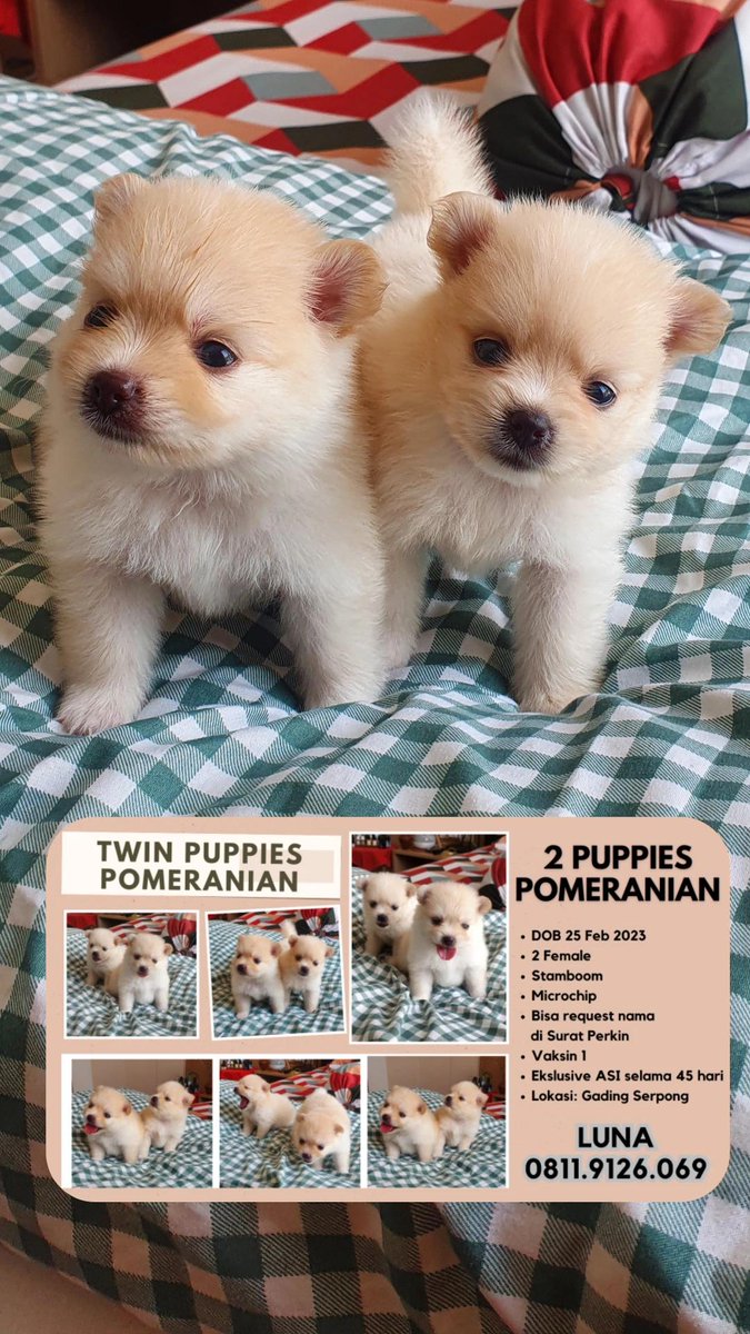 DO YOUR MAGIC, TWITTER 🧎‍♂️