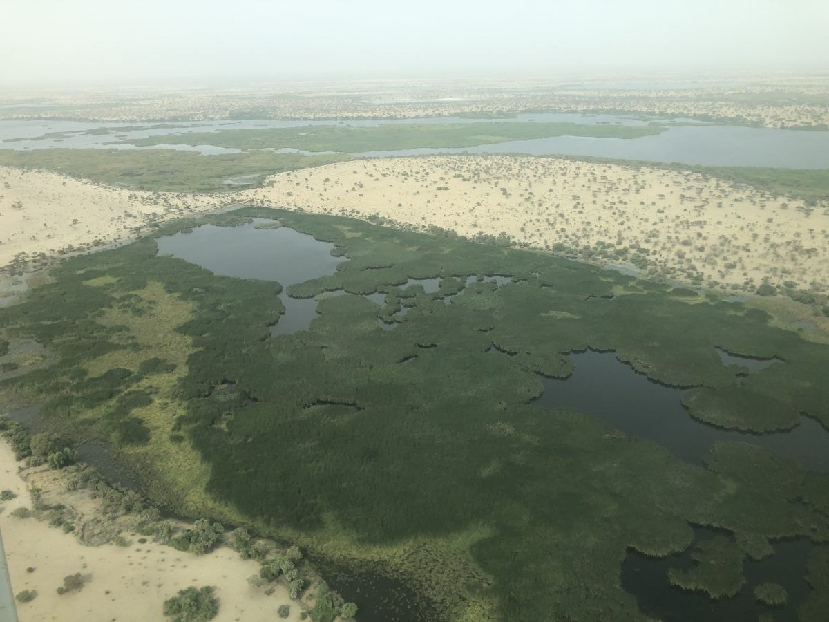 #LakeChad supports millions of livelihoods. Water insecurity💧causes disputes over this shared resource

Hycinth Banseka & @lcbc_cblt work w/ @ciwaprogram to improve usage practices to mitigate conflict

Read this blog for more: ciwaprogram.org/blog/water-sec… #WorldWaterDay #WaterAction