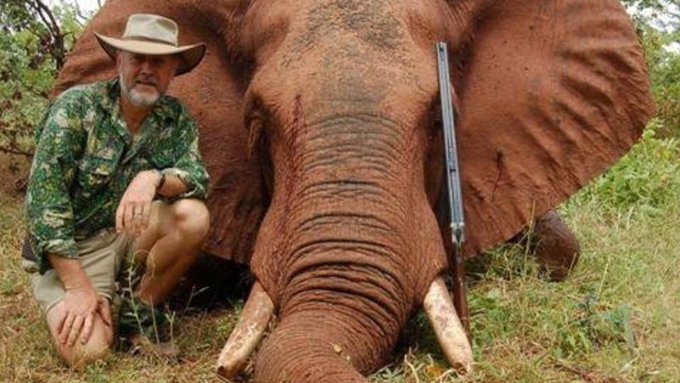 ICYMI: NSW Shooters, Fishers &amp; Farmers Party Upper House MP Robert Borsak has admitted to the killing of 8 elephants. Vote this grub out of our NSW Parliament. 😠 #NSWpol #NSWvotes
