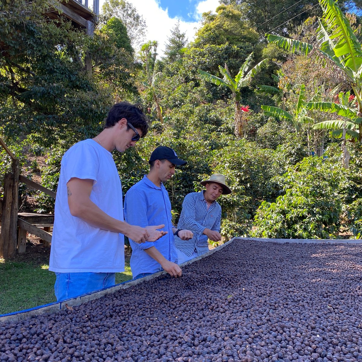 PlantingCostaRi's tweet photo. LA CHUMECA - Pacho from @chumecacoffee is really passionate about coffee and anaerobic processes. We are very excited to bring you their 2023 harvest coffees!!
Reach out! 🥄 https://t.co/JV3KzY88OQ