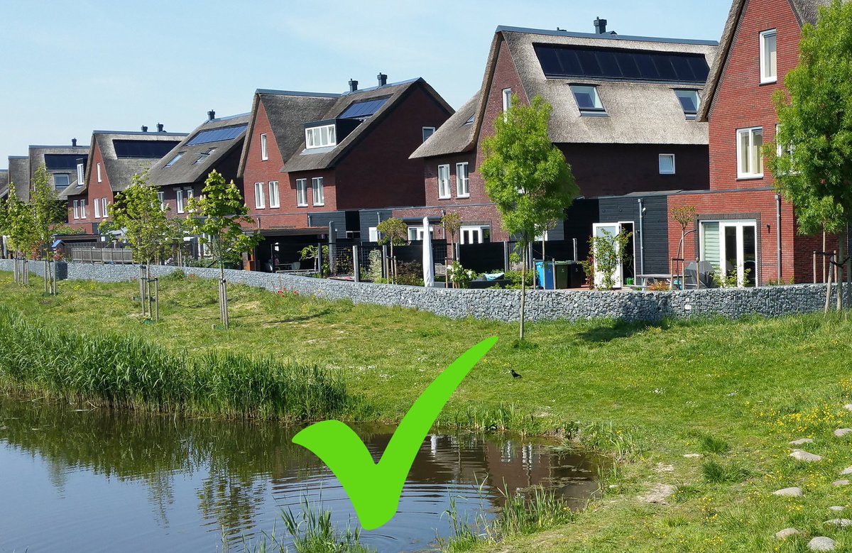 NandaSluijsmans's tweet photo. Graag norm: In bebouwde kom #sloten aan openbaar gebied + oevers flauw. Waarom? Omdat damwanden NIET duurzaam zijn.
Flauwe #oevers hard nodig:
- Om veel water🌧 te kunnen bergen (houdt wijken droog)
- Geeft #biodiversiteit🕷🐦 enorme impuls
- Zuivert water
#Inspiratiebeeld 221 https://t.co/G5vPGJsTq4